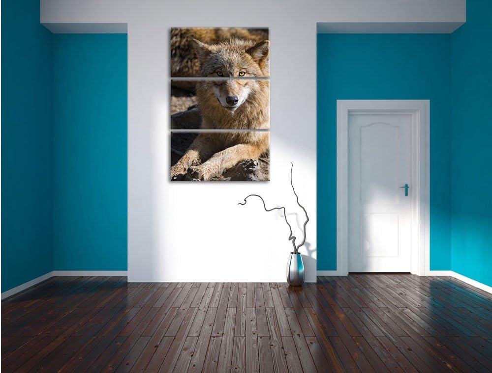 Pixxprint aufschauender Wolf 3-Teiler Leinwandbild 120x80 Bild auf Leinwand