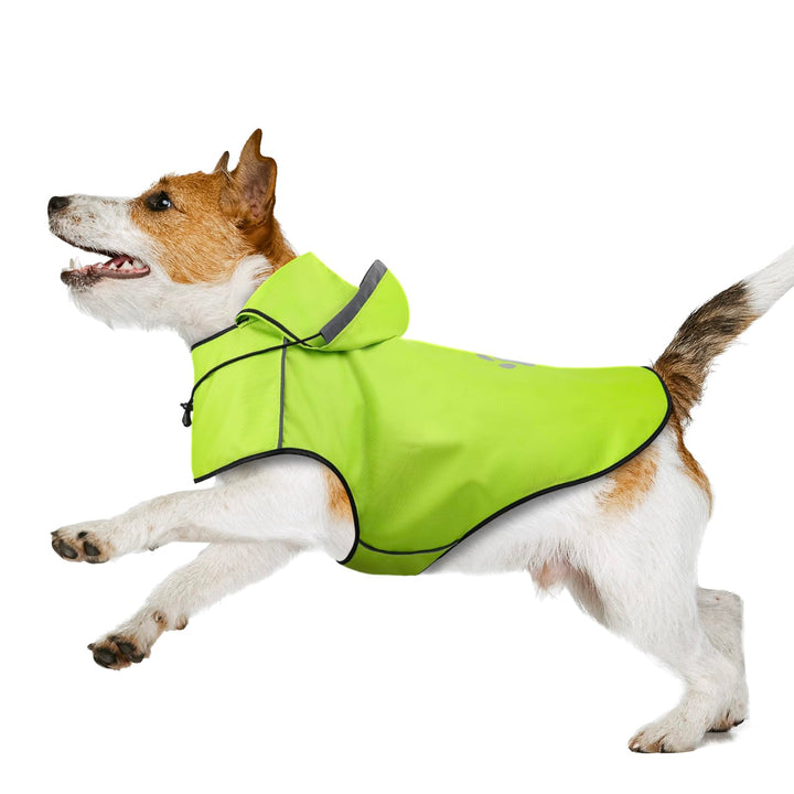 Hunde Regenmantel Kleine Hunde, Einstellbare Regenjacke Hund DQGHQME Hunderegenmantel 100% Wasserdic
