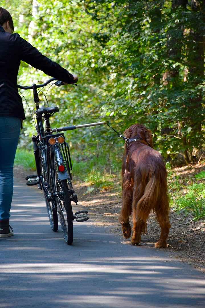 dobar® 62000 Walky Dog Plus Hunde Fahrradleine - Abstandhalter aus Edelstahl - Fahrradhalter mit Dre