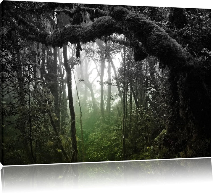 Regenwald in seiner ganzen Pracht schwarz/weiss Format: 100x70 auf Leinwand, XXL riesige Bilder fert