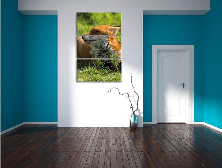 Pixxprint Fuchs im Gras 3-Teiler Leinwandbild 120x80 Bild auf Leinwand
