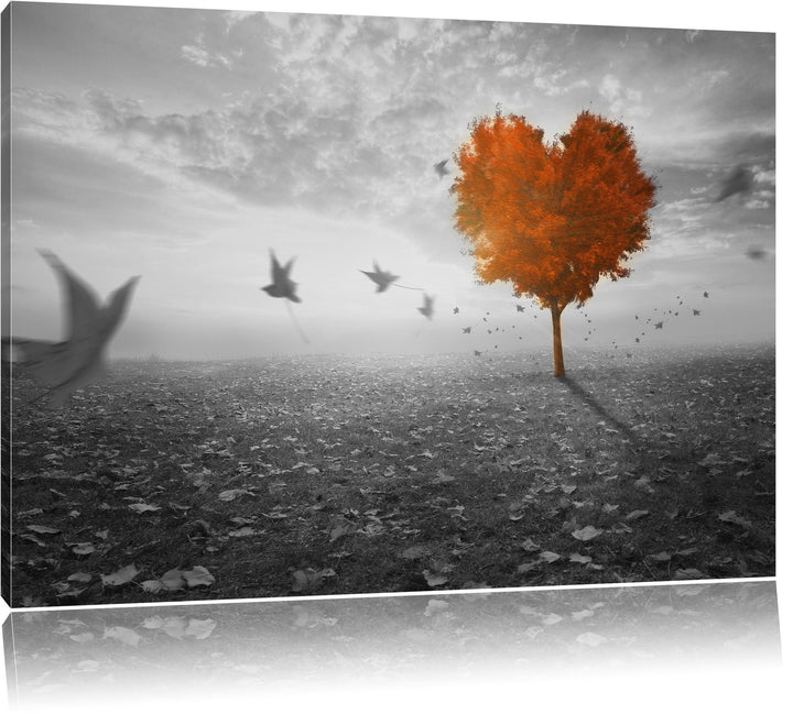 Roter Herzbaum im Herbst schwarz/weiss Format: 100x70 auf Leinwand, XXL riesige Bilder fertig gerahm