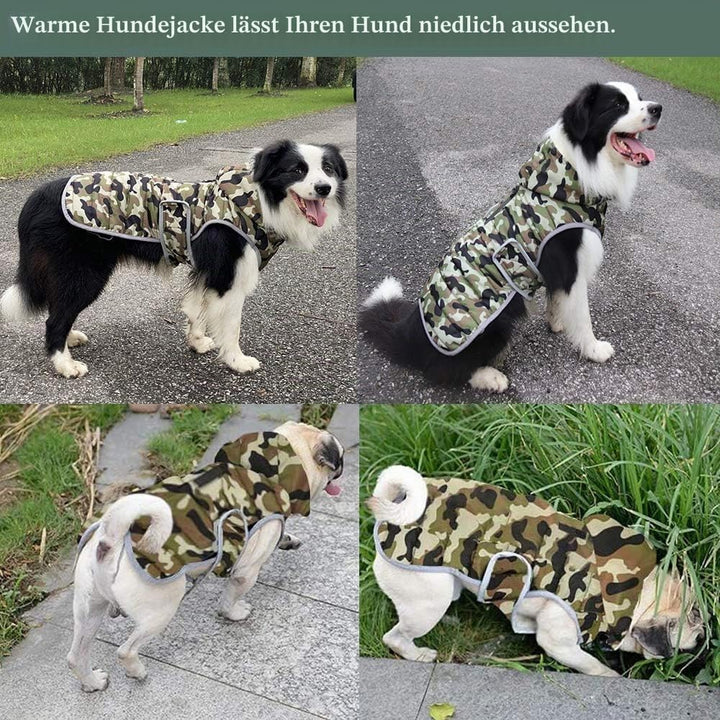 Winter Hundejacke with Abnehmbarem Hut, Hundemantel Wasserdicht Reflektierend Hund Mantel Warme Hood