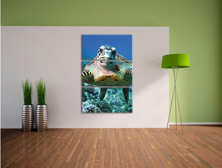 Pixxprint Schildkröte im Korallenriff als Leinwandbild/Grösse: 3 Teilig (120x80) cm/Wandbild/Kunstdr