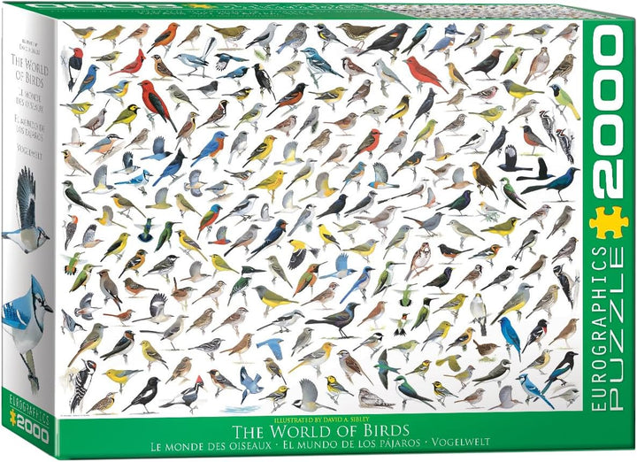 Eurographics 2000 Teile - Vogelwelt