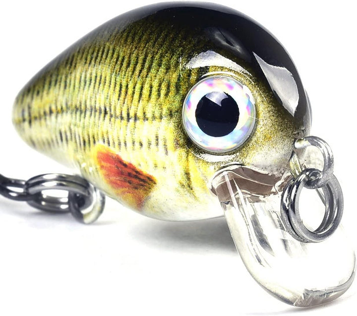 Steinn Wobbler Crankbait Kunstköder Set | Raubfisch Zander Barsch Angeln | 1.6g 2.5cm | Angelköder F