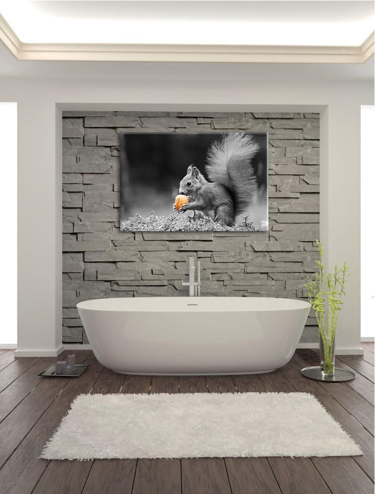niedliches Eichhörnchen mit Nuss schwarz/weiss Format: 100x70 auf Leinwand, XXL riesige Bilder ferti