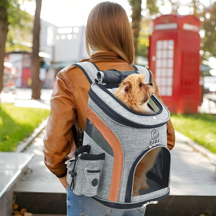 PETCUTE Hunderucksack Kleine Hunde,Atmungsaktiv Hundetragetasche mit Internem Sicherheitsgurt,Verste