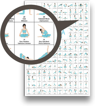 CLEAN SPORTS® Yoga Poster DIN A2 168 Posen und Asanas, Zubehör für Yoga-Studios und Zuhause, perfekt