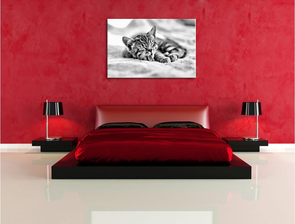 Pixxprint Kleines Kätzchen als Leinwandbild | Grösse: 100x70 | Wandbild| Kunstdruck | fertig bespann