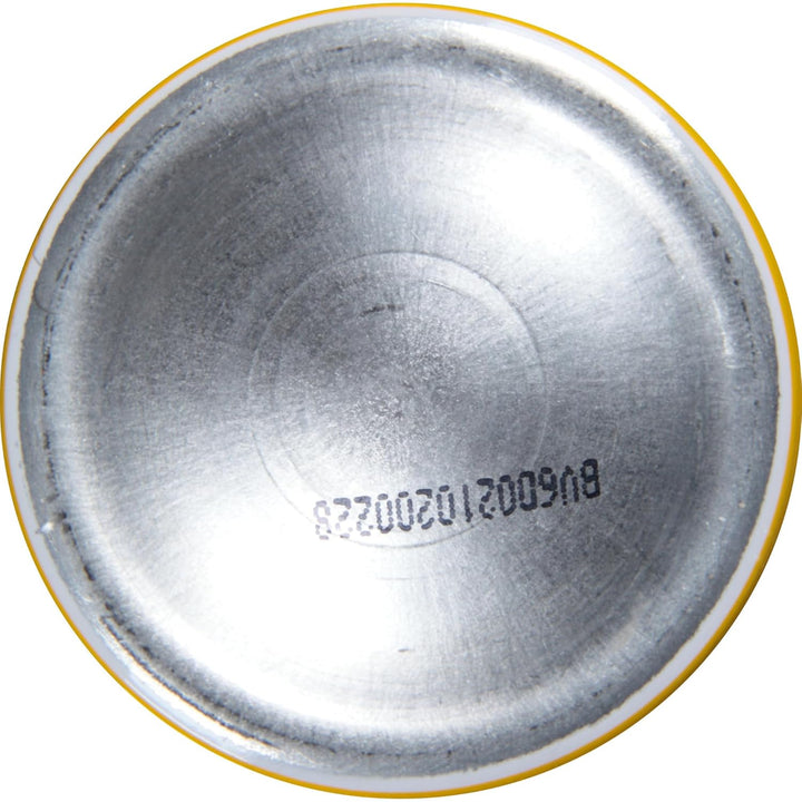 Got2b Glued Blasting Freeze Spray, 12 Ounce by Got2b 340 g (1er Pack), 340 g (1er Pack)