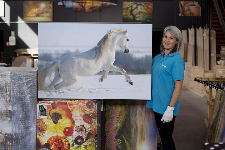 Startonight Bilder Weisses Pferd im Schnee, Leinwandbilder Moderne Kunst, Tiere Wanddeko Kunstdrucke