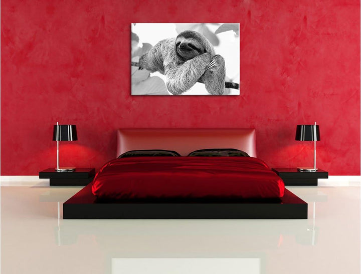 Pixxprint Faultier hängt von AST als Leinwandbild/Grösse: 100x70 cm/Wandbild/Kunstdruck/fertig bespa