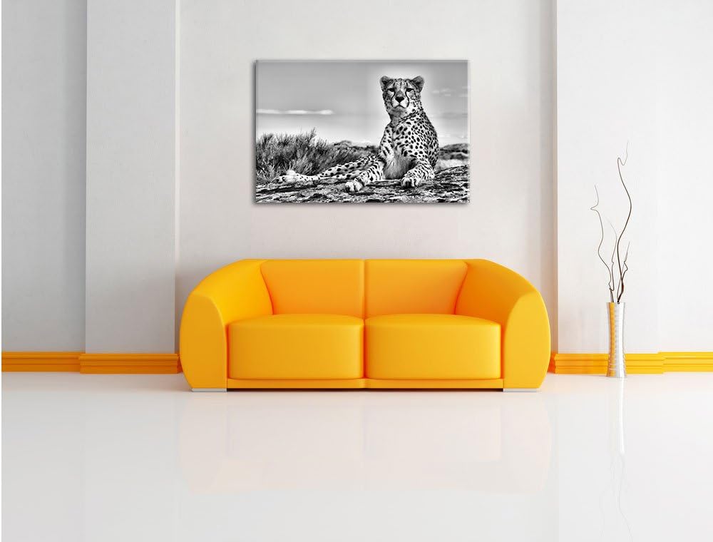 Pixxprint Gepard in Savanne / 100x70cm Leinwandbild bespannt auf Holzrahmen/Wandbild Kunstdruck Deko