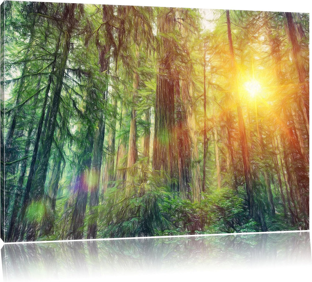 Pixxprint Wald bei Sonnenlicht als Leinwandbild | Grösse: 100x70 cm | Wandbild | Kunstdruck | fertig