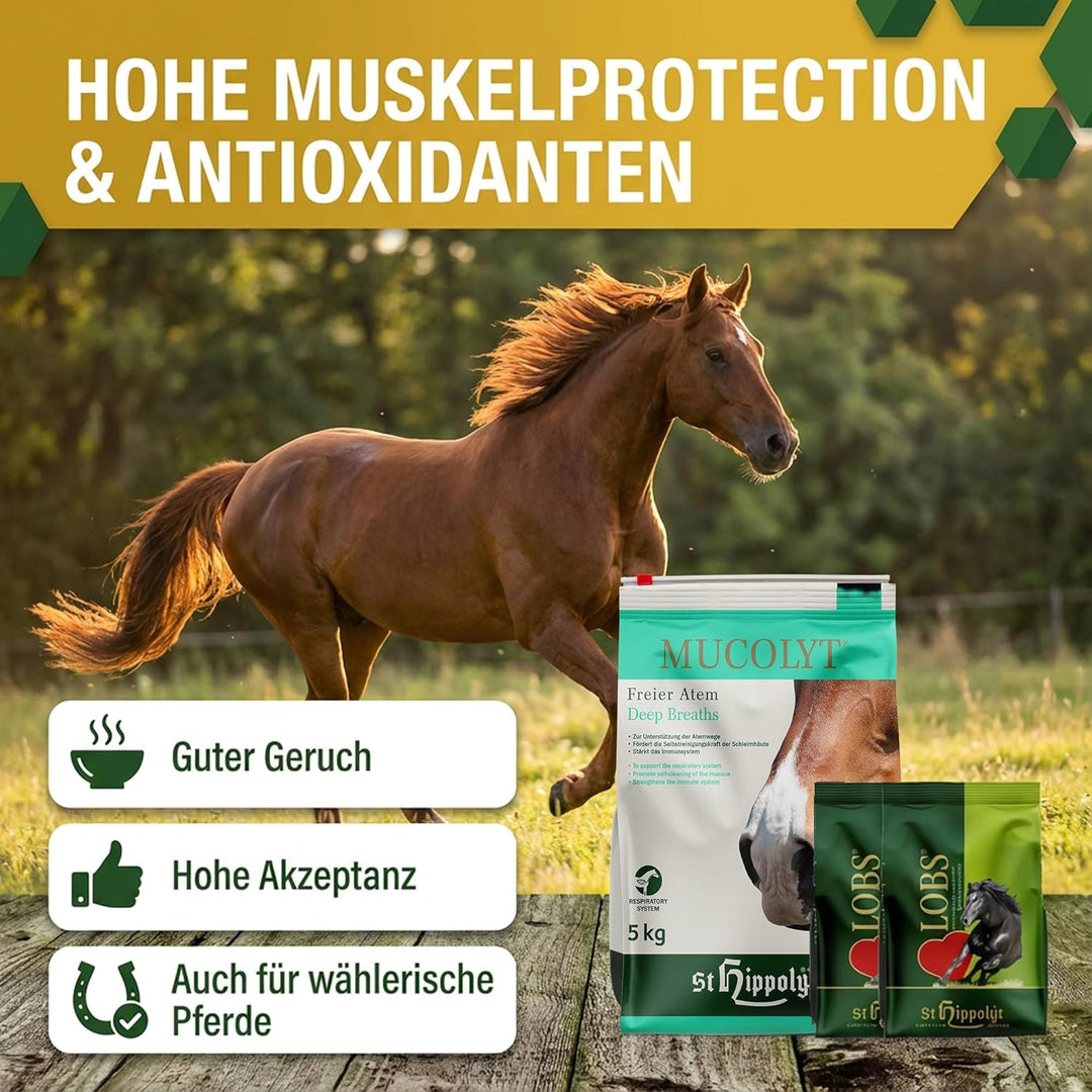 St. Hippolyt Mucolyt 5 kg + St. Hippolyt Lobs Belohnungswürfel 2 x 1 kg geschenkt