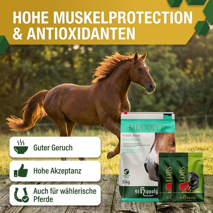 St. Hippolyt Mucolyt 5 kg + St. Hippolyt Lobs Belohnungswürfel 2 x 1 kg geschenkt