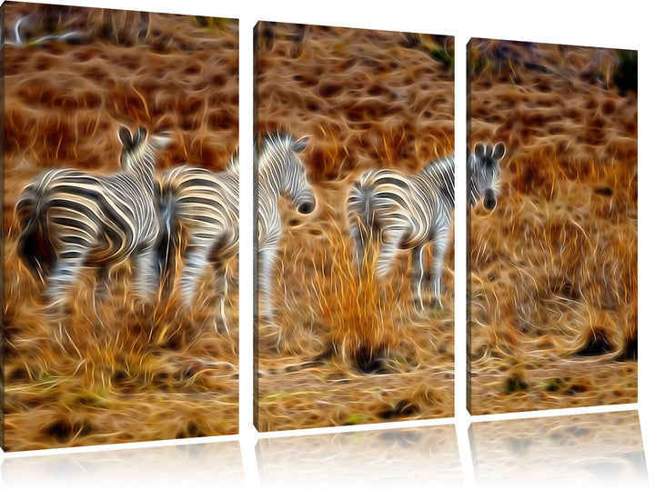 Zebraherde im Wildgras Spezial 3-Teiler Leinwandbild 120x80 Bild auf Leinwand, XXL riesige Bilder fe