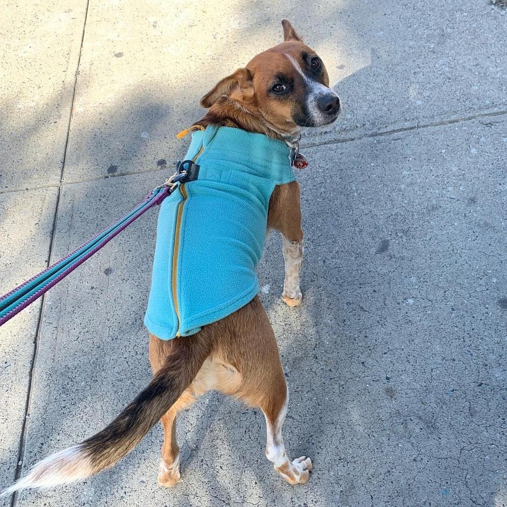 GOOBY Zip Up Fleece-Weste für kleine Hunde türkis mittel, türkis mittel