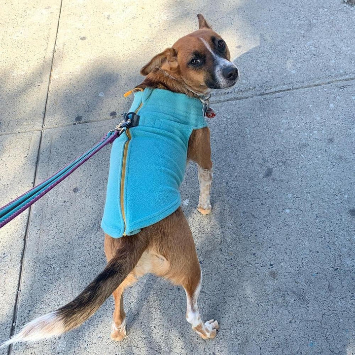 GOOBY Zip Up Fleece-Weste für kleine Hunde türkis mittel, türkis mittel