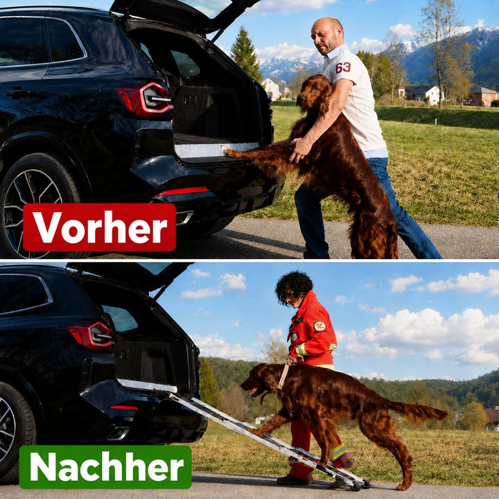 Hunderampe Teleskop rutschfest Alu 90kg Hundetreppe für Grosse Kleine Hunde Auto SUV Sofa Bett Rückb
