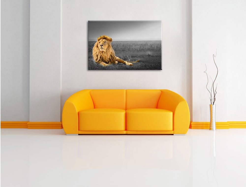 Pixxprint Majestätischer Löwe als Leinwandbild | Grösse: 100x70 cm | Wandbild| Kunstdruck | fertig b