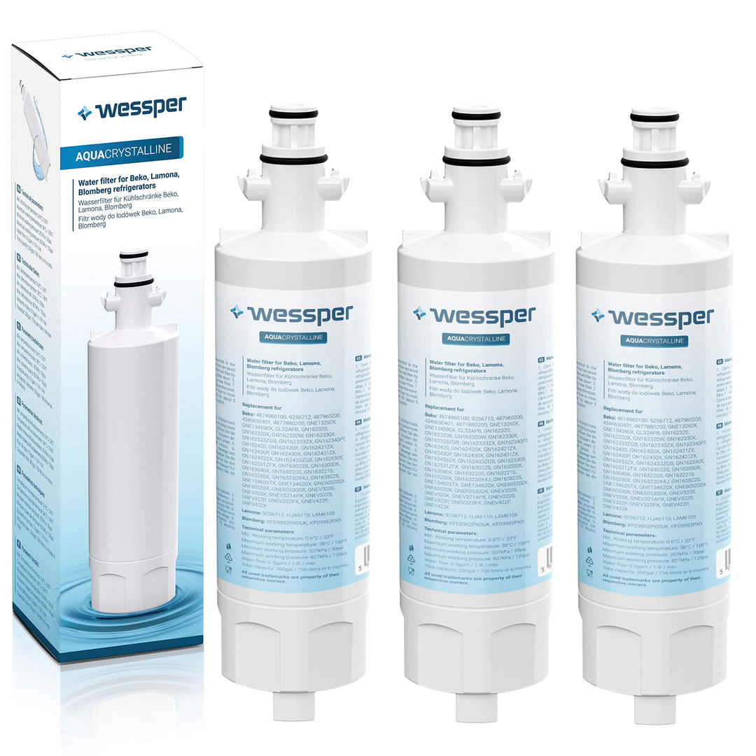 Wessper 3x 4874960100 Gefrier-Kühlschrank Wasserfilter Ersatz kompatibel mit Beko 4874960100 4394650