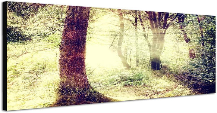 Paul Sinus Art Panoramabild auf Leinwand und Keilrahmen 150x50cm Wald Bäume Sonnenstrahlen Vintage