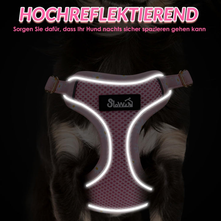 Hundegeschirr Kleine Hunde mit Leine, Atmungsaktiv Air Mesh Brustgeschirrmit reflektierenden Streife