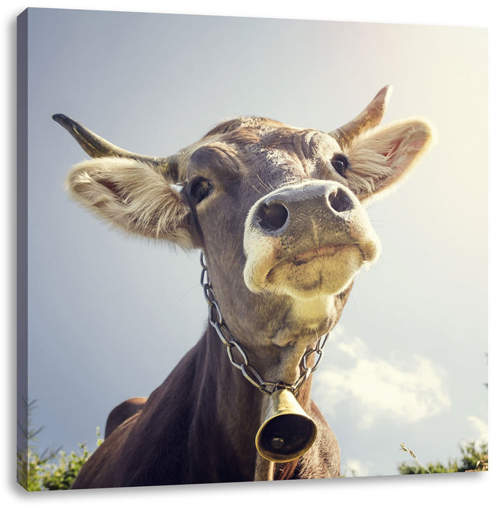 Pixxprint Lustiges Portrait Einer Kuh, Format: 70x70 auf Leinwand, 70x70