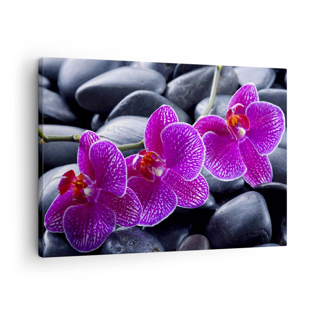 Bilder auf Leinwand Blumen Steine Violett Aromatherapie Leinwandbild 70x50cm Wandbilder Dekoration W