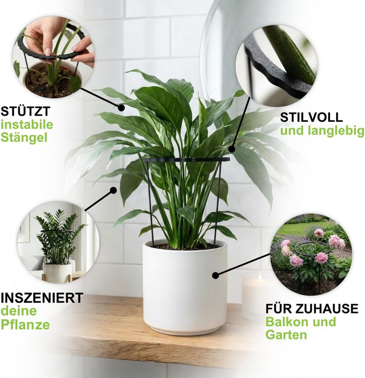 PLANTINITY Rankhilfe Aus Biokunststoff, 4er Set, 21x50 cm | Stützring Für Stauden Und Zimmergrün, Fü