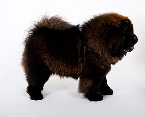 Dingo Rundes Ledergeschirr für Hund Chow-Chow ø 1,2 cm,Grösse M Braun 10571 Braun 60-71 cm M, Braun