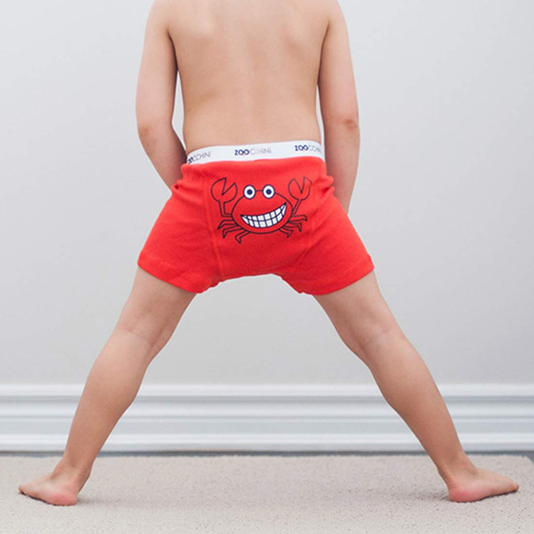 Zoocchini Chompy Set 3 Boxershorts für Jungen 2 – 3 Jahre