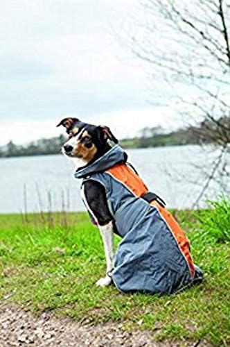 Trixie massiv Regenmantel für Hunde, 25 cm, grau/orange grau/orange 25 cm(1er Pack), grau/orange 25