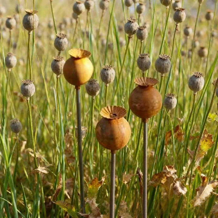 2er Rostige GartendekoSet Rost Deko für Garten Cortenstahl Gartenstecker Metall Blume Mohn Gartendek
