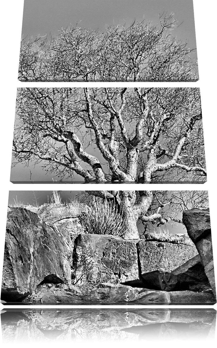 Pixxprint Monocrome, einsamer Baum im Gebirge 3-Teiler Leinwandbild 120x80 Bild auf Leinwand
