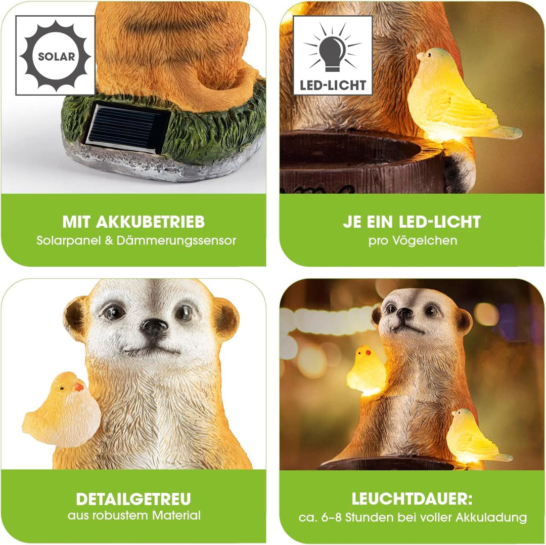 EASYmaxx Solar-LED Erdmännchen als Vogeltränke | Kabellos mit automatischem Tageslichtsensor | Detai
