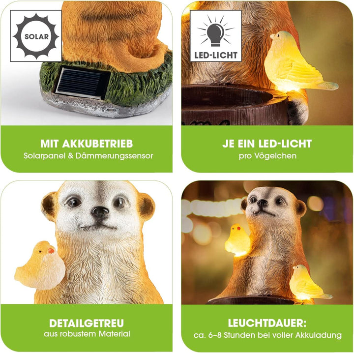 EASYmaxx Solar-LED Erdmännchen als Vogeltränke | Kabellos mit automatischem Tageslichtsensor | Detai