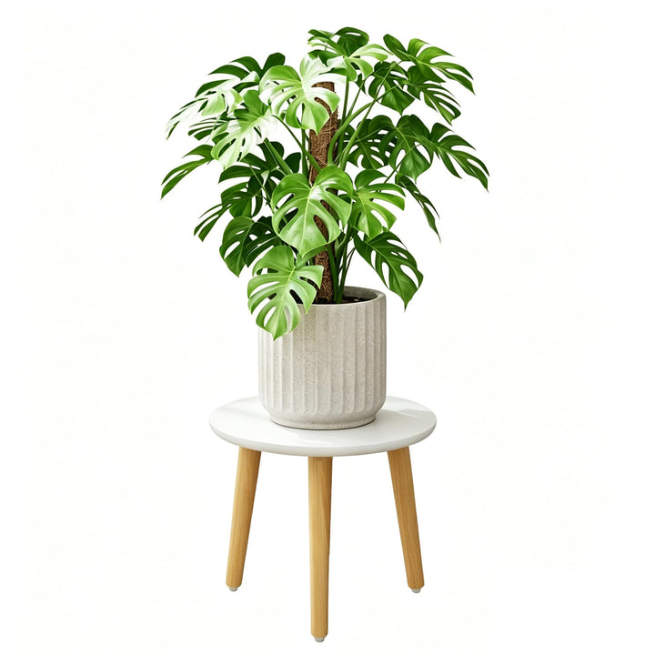 Pflanzenständer Blumenständer, Pflanzenregal Blumenhocker Holz, Pflanzenhocker Weiss, Geeignet für V