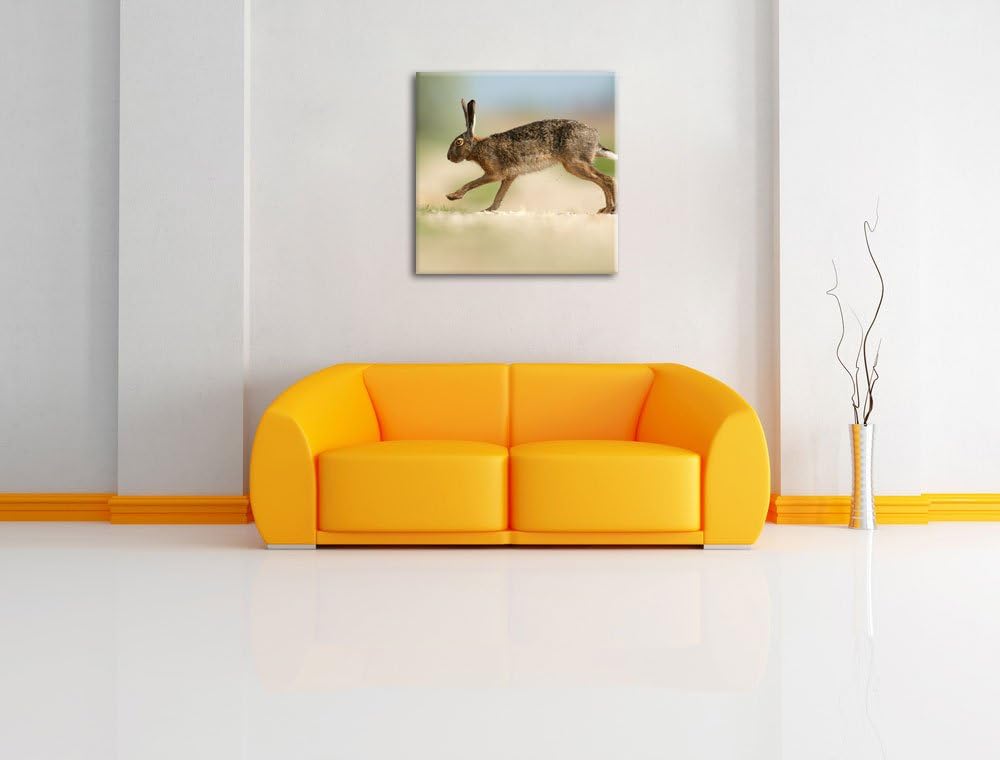 Pixxprint Hüpfender Hase, Format: 70x70 auf Leinwand, XXL riesige Bilder fertig gerahmt mit Keilrahm