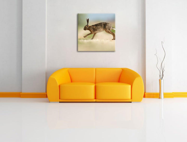 Pixxprint Hüpfender Hase, Format: 70x70 auf Leinwand, XXL riesige Bilder fertig gerahmt mit Keilrahm