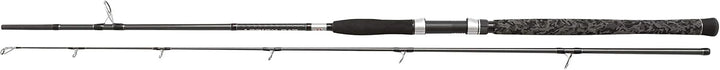 PENN Legion Cat Silver Spinnrute – Waller-Spinnrute zum Welsangeln 2.70m |40-160g, 2.70m |40-160g