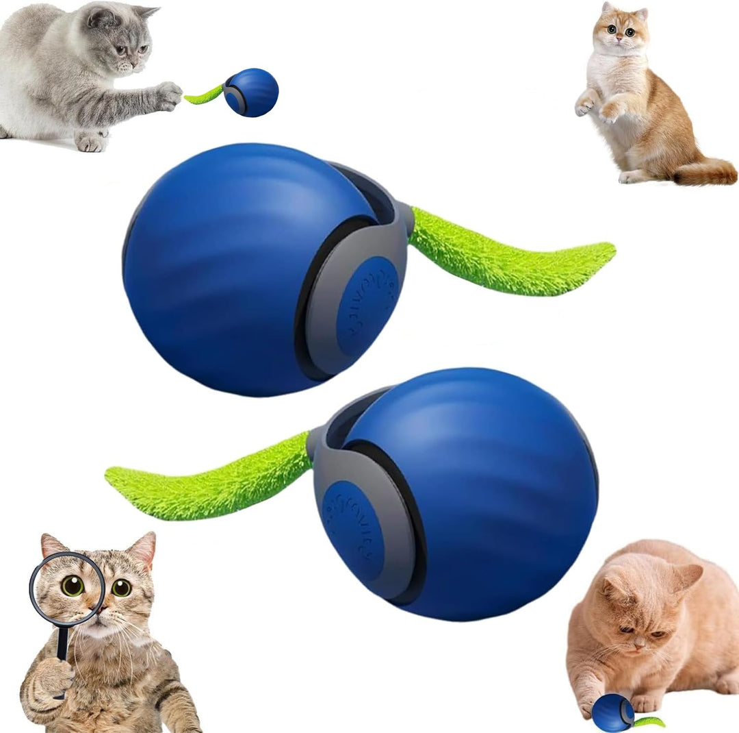 Speedy Tail 2.0, Speedy Tail Katzenspielzeug, interaktiver spielball für Katzen, Automatisches Katze