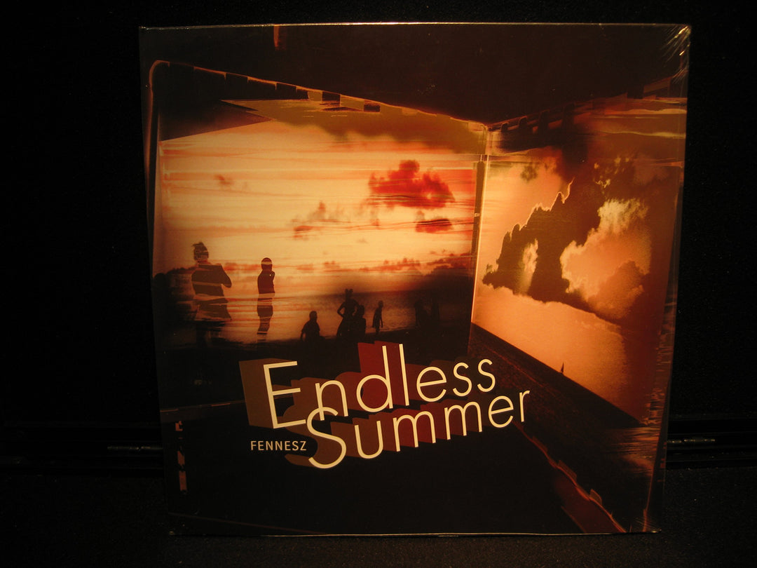 Endless Summer Edition), Vinyl