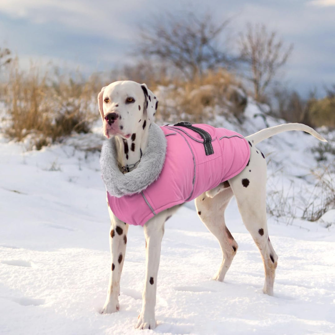 Lelepet Hundejacke Winter Warmer Hundemantel, Wasserdichter Wintermantel Fleece Hundeweste für Mitte