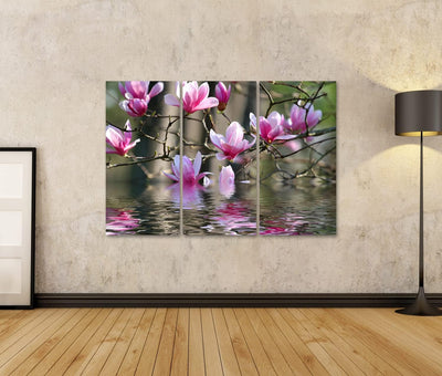 Bild auf Leinwand Schöner Frühling Blüht Auf Einer Japanischen Magnolie Wandbild Poster Kunstdruck B