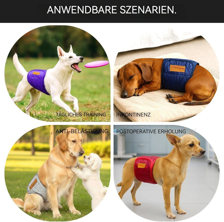 Hundewindeln, waschbar, wiederverwendbar, Bauchbänder für Rüden, gesteppt, ultra-saugfähig, auslaufs