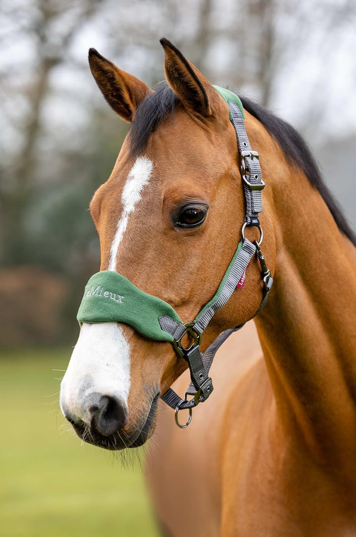Lemieux Vogue Fleece Headcollar & Rope Volle Grösse Hunter Green, Volle Grösse Hunter Green