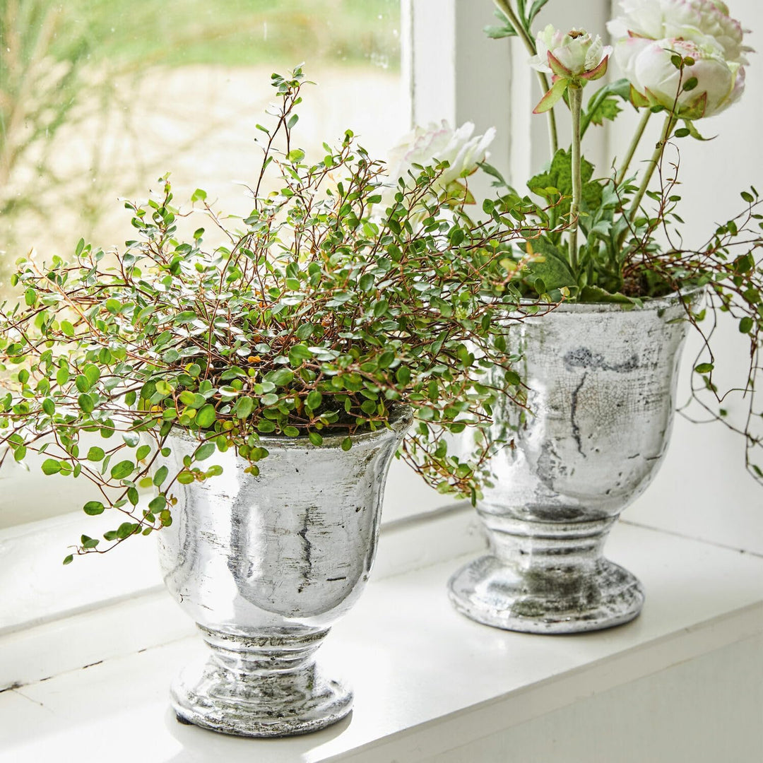 Loberon® Übertopf Set Banon | Blumentopf Set Aus Terrakotta | Ideal Für Zimmerpflanzen &amp; Kräuter | I